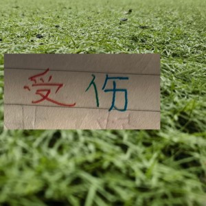华体会体育-也是扯平！重庆让了李镇全+阿马杜 申花伤特谢拉 盖伊